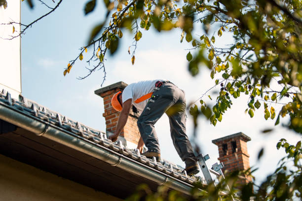 Best Roof Gutter Cleaning  in Wedgefield, SC
