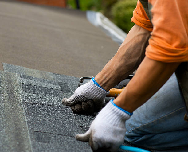 Best Metal Roofing Contractor  in Wedgefield, SC