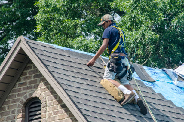 Best Shingle Roofing Installation  in Wedgefield, SC